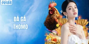 Đá Gà Thomo Tại RR88 - Xem Trực Tuyến HD, Đặt Cược Mượt Nhất 2026